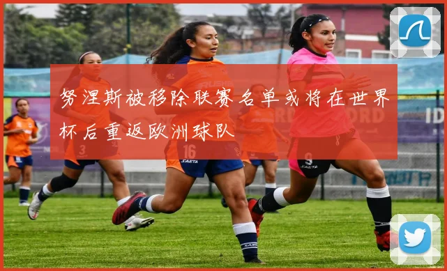 努涅斯被移除联赛名单或将在世界杯后重返欧洲球队